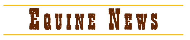 Equine news